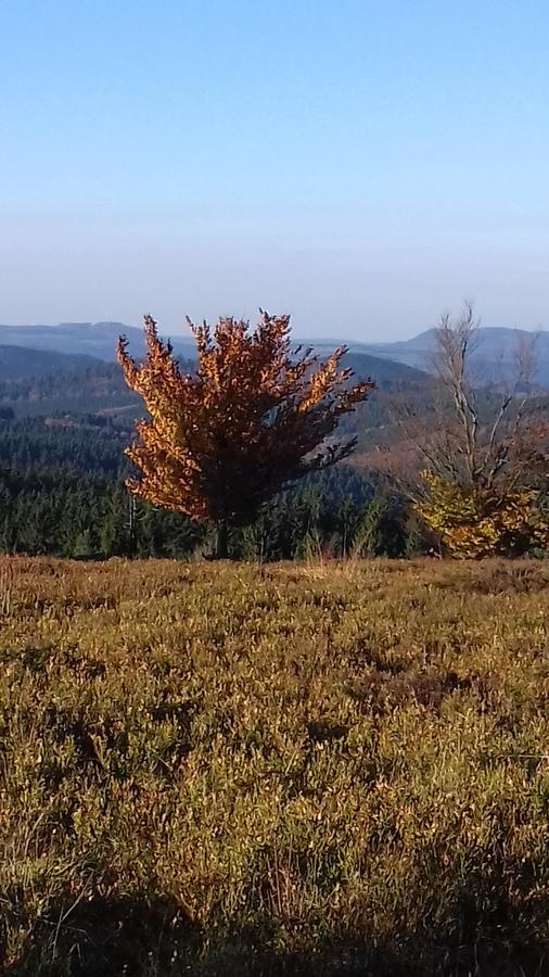 Apartment Schoenblick Winterberg Eksteriør bilde